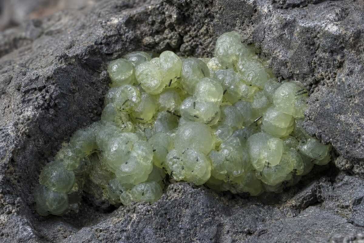 Lysegrøn botryoidal prehnit med sorte epidotnåle i basaltmatrix